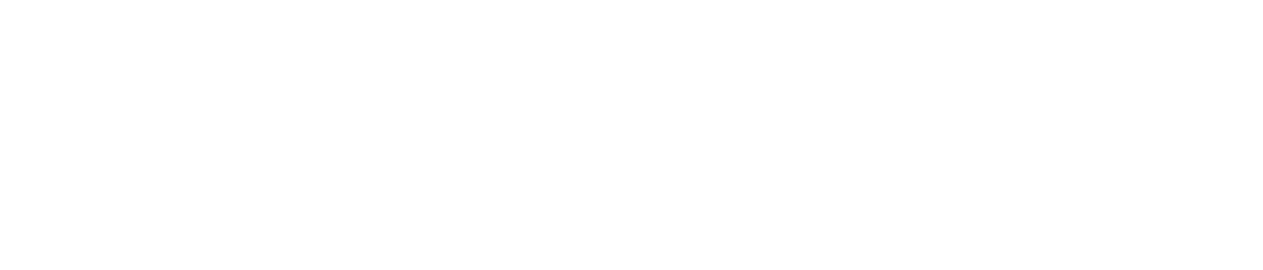 International Packer City Trucks